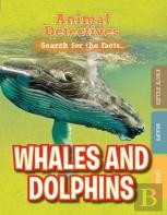 Whales And Dolphins