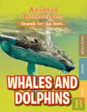 Whales And Dolphins