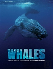 Whales And Dolphins Of Aotearoa New Zealand