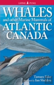 Whales And Other Marine Mammals Of Atlantic Canada