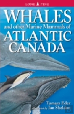 Bertrand.pt - Whales And Other Marine Mammals Of Atlantic Canada