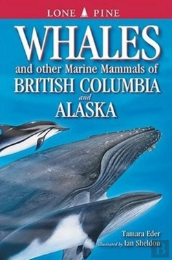 Bertrand.pt - Whales And Other Marine Mammals Of British Columbia And Alaska