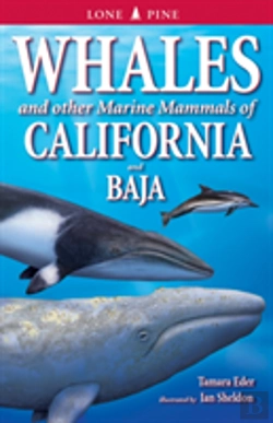 Bertrand.pt - Whales And Other Marine Mammals Of California And Baja