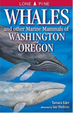 Bertrand.pt - Whales And Other Marine Mammals Of Washington And Oregon