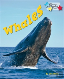 Bertrand.pt - Whales