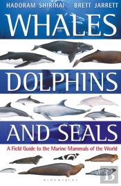 Whales, Dolphins And Seals
