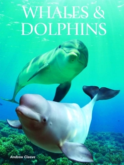 Bertrand.pt - Whales Dolphins