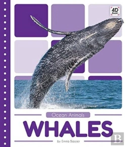 Bertrand.pt - Whales