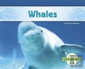 Whales
