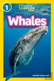 Whales