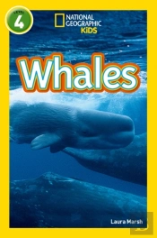 Whales