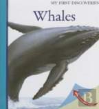 Whales