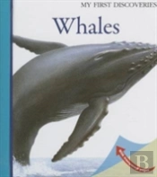 Whales