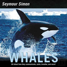 Whales
