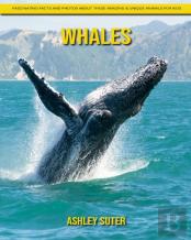 Whales