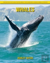Whales