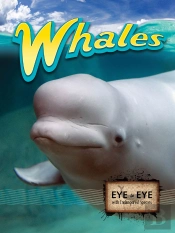 Whales