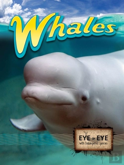 Bertrand.pt - Whales