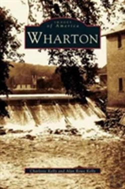 Bertrand.pt - Wharton