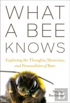 What A Bee Knows
