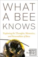 What A Bee Knows
