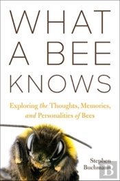 What A Bee Knows