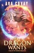 What A Dragon Wants