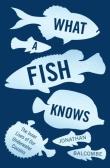 What A Fish Knows