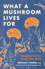 What A Mushroom Lives For