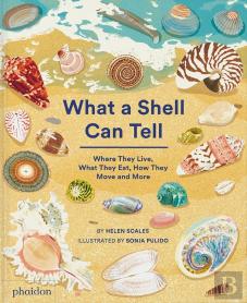 What A Shell Can Tell