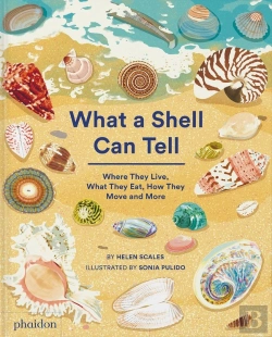 Bertrand.pt - What A Shell Can Tell