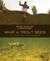 What A Trout Sees