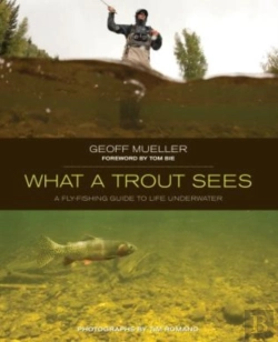 Bertrand.pt - What A Trout Sees