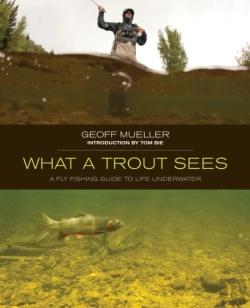 Bertrand.pt - What A Trout Sees