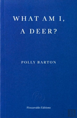 Bertrand.pt - What Am I, A Deer?