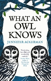 What An Owl Knows