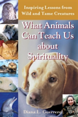 Bertrand.pt - What Animals Can Teach Us About Spirituality