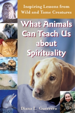 Bertrand.pt - What Animals Can Teach Us About Spirituality