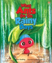 What Ants Do On Rainy Days