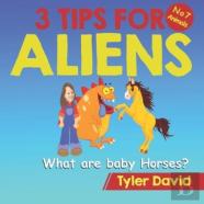 What Are Baby Horses?