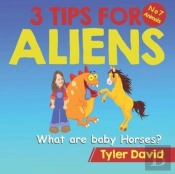 What Are Baby Horses?