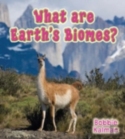 Bertrand.pt - What Are Earths Biomes