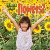 What Are Flowers