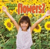 What Are Flowers