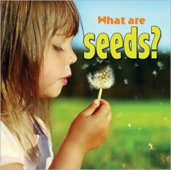 Bertrand.pt - What Are Seeds?