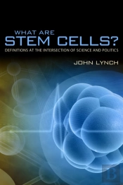 What Are Stem Cells?