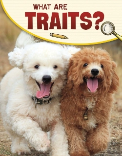 Bertrand.pt - What Are Traits?