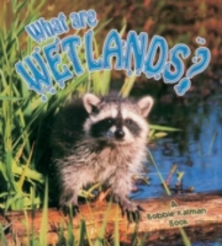 Bertrand.pt - What Are Wetlands