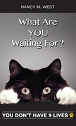 Bertrand.pt - What Are You Waiting For?