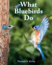 What Bluebirds Do